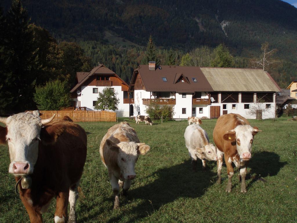 Willa Farm Kosir Kranjska Gora Zewnętrze zdjęcie