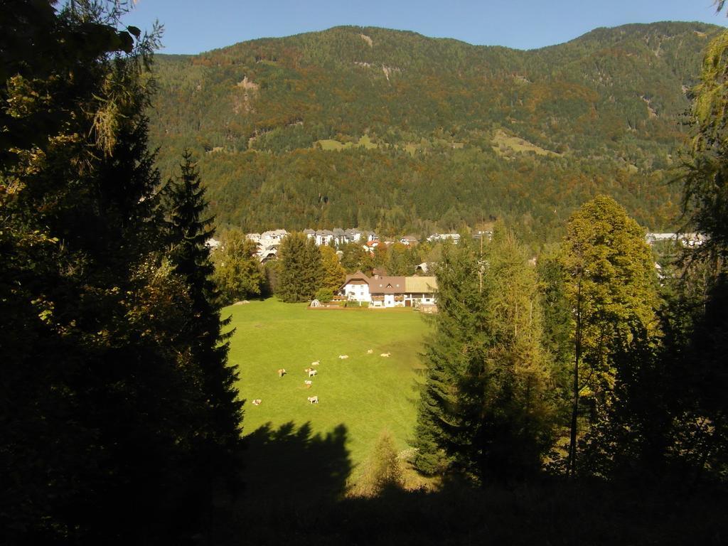 Willa Farm Kosir Kranjska Gora Zewnętrze zdjęcie